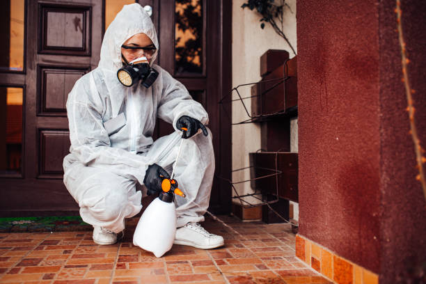 Reliable Bed Bug Control contractor in Burlington, OH by Nex Pest Control