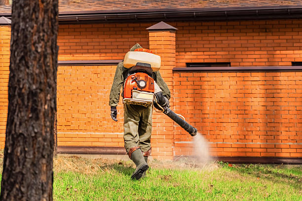 Trusted Emergency Pest Control service in Burlington, OH - Nex Pest Control